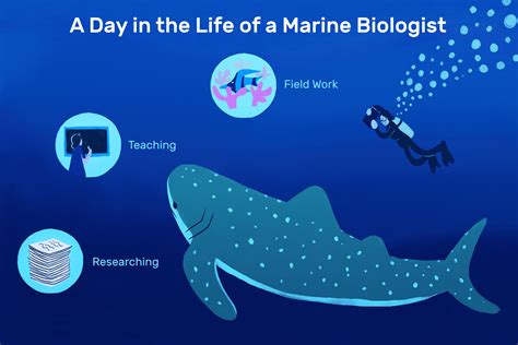 what jobs are similar to a marine biologist